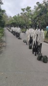大安森林公園進場紀錄-大規模室外硬體設備部署能量-鴻揚展覽.jpg