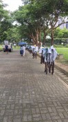 桃園龍潭運動公園-大型活動帳篷進場-多帳配置定位實錄-鴻揚展覽
