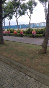 桃園龍潭-大型市集活動預備-快速帳篷進場定位實錄-鴻揚展覽