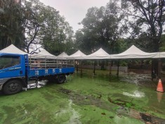 大同國小案場-鴻揚展覽工程車雨天進場